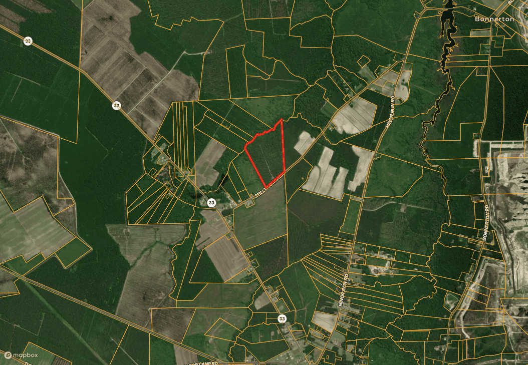 42-Acre Timber & Hunting Land for Sale in Edward, NC